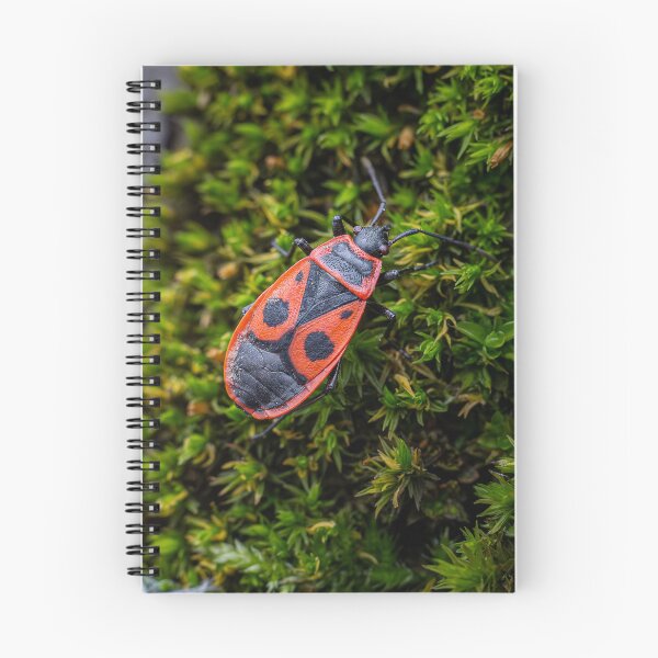 Item preview, Firebug Macro – Red and Black Insect designed and sold by Rabee Khalil Photography.