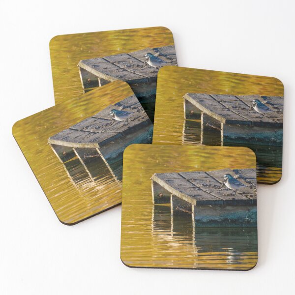 Item preview, White Wagtail - Sitting on the Dock (of the bay) designed and sold by Ralph Goldsmith.