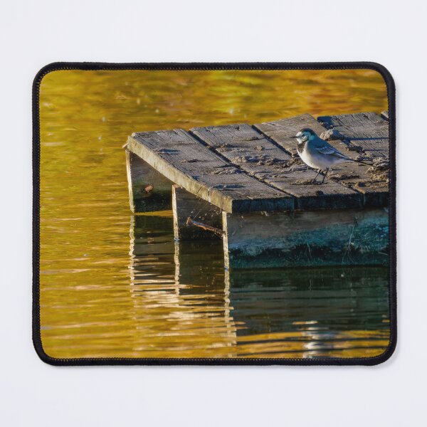 Item preview, White Wagtail - Sitting on the Dock (of the bay) designed and sold by Ralph Goldsmith.