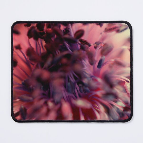 Item preview, Anemone flower stamen designed and sold by Photopat.