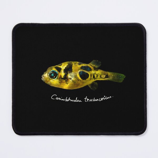 Item preview, Dwarf Pea Puffer - Oil Painting Style - Scientific Illustration designed and sold by AshDra.