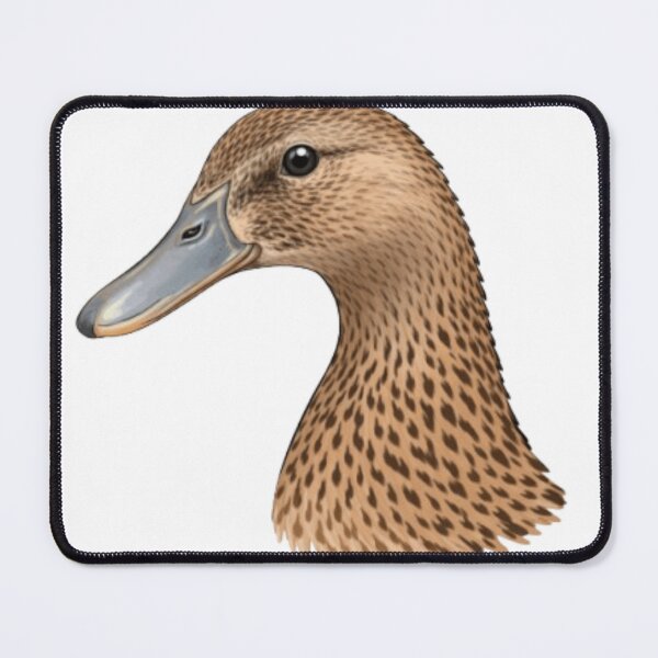 Item preview, Daisy & Mini – Twin Runner Ducks Illustration designed and sold by chaosfedern2025.