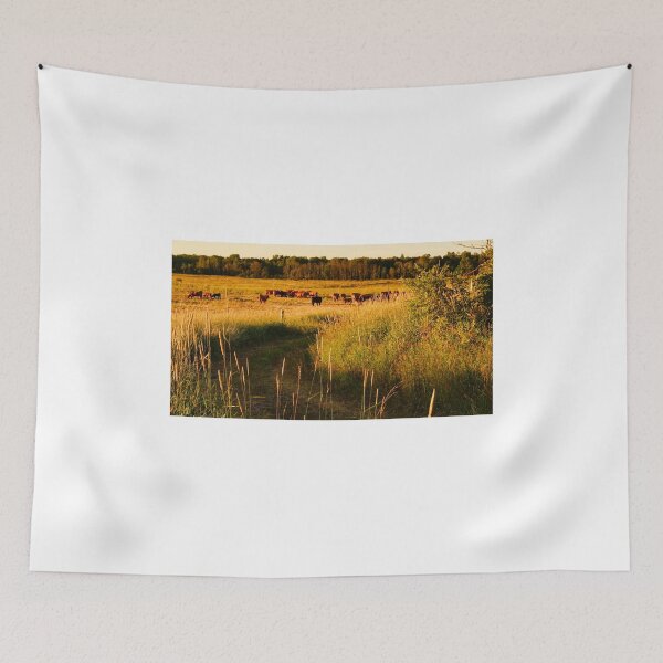 Item preview, Cows on summer pasture, St Joseph Island, Canada designed and sold by colorfulbundles.