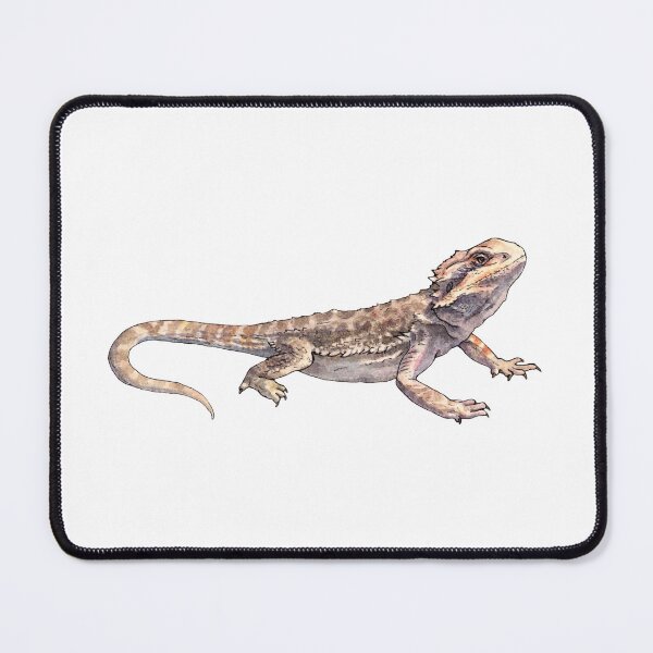 Item preview, Pogona - Bearded dragon - Watercolor Illustration designed and sold by AquarellChill.