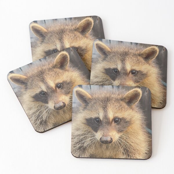 Item preview, Raccoon Close Up Wildlife Portrait designed and sold by aadventures.