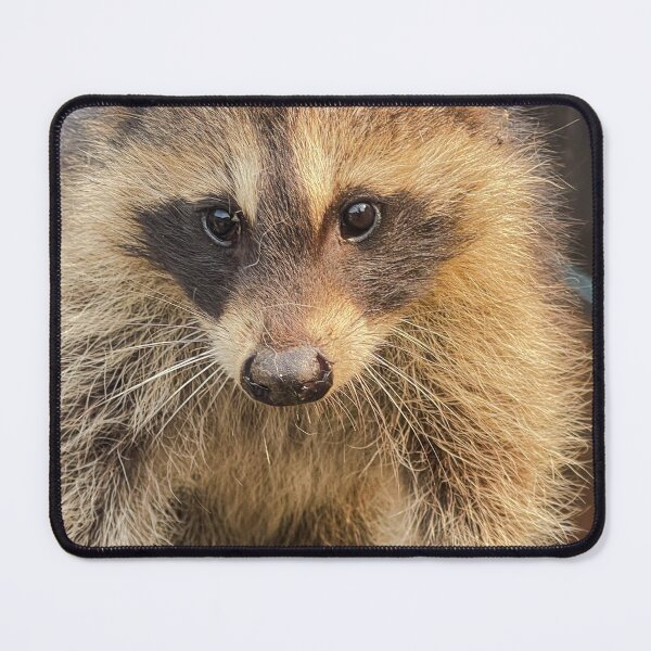 Item preview, Raccoon Close Up Wildlife Portrait designed and sold by aadventures.