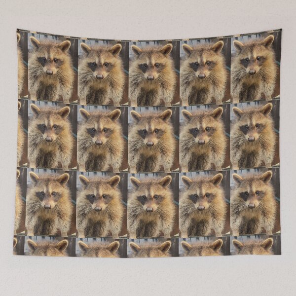 Item preview, Raccoon Close Up Wildlife Portrait designed and sold by aadventures.