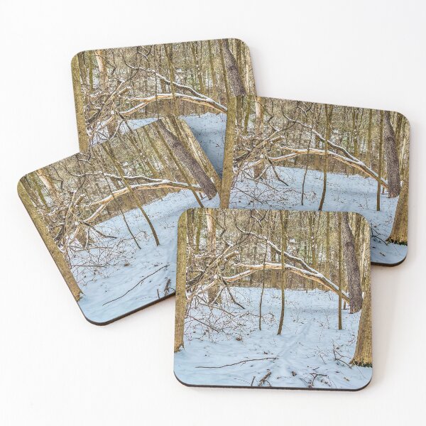 Item preview, Winter Woods Fallen Tree Arch designed and sold by aadventures.