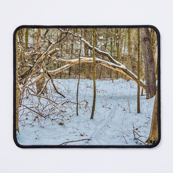 Item preview, Winter Woods Fallen Tree Arch designed and sold by aadventures.