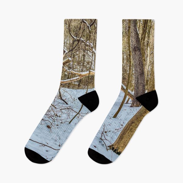 Item preview, Winter Woods Fallen Tree Arch designed and sold by aadventures.