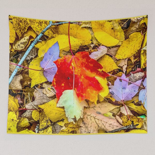 Item preview, Colorful Autumn Leaves designed and sold by aadventures.