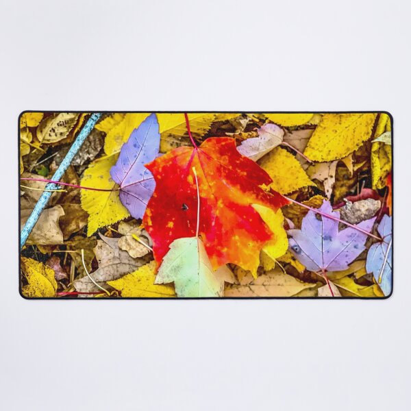 Item preview, Colorful Autumn Leaves designed and sold by aadventures.