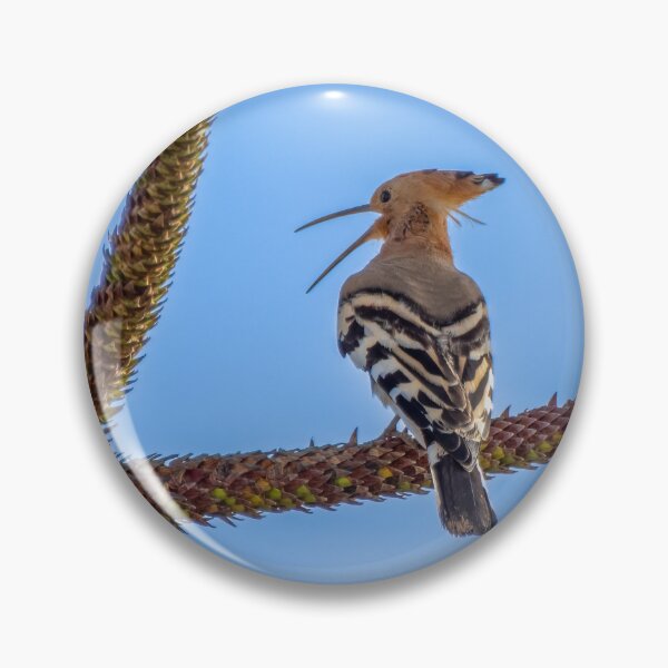 Item preview, Hoopoe designed and sold by iCimages.net.