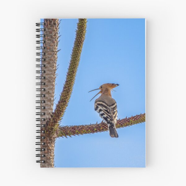 Item preview, Hoopoe designed and sold by iCimages.net.
