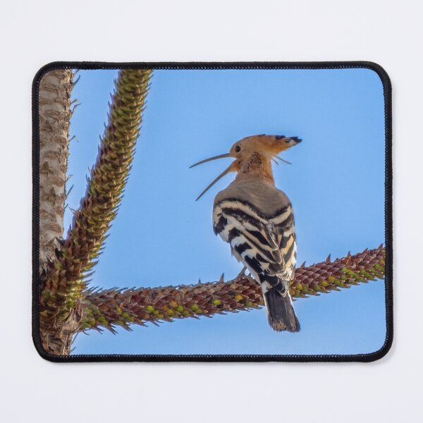 Item preview, Hoopoe designed and sold by iCimages.net.