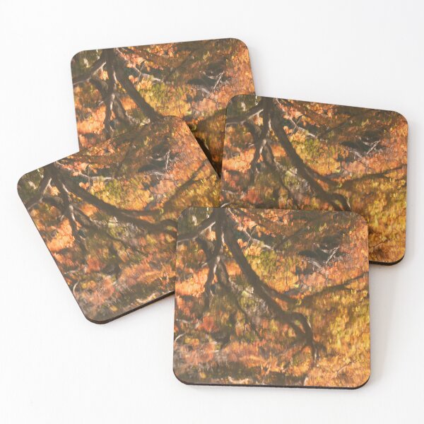 Item preview, Shinjuku Gyoen Autumn Reflection designed and sold by David Bowman.