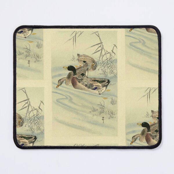 Item preview, Three Ducks in Shallow Water With Reed Style 2 by Ohara Koson : serene japanese poster designed and sold by artofuniverse.