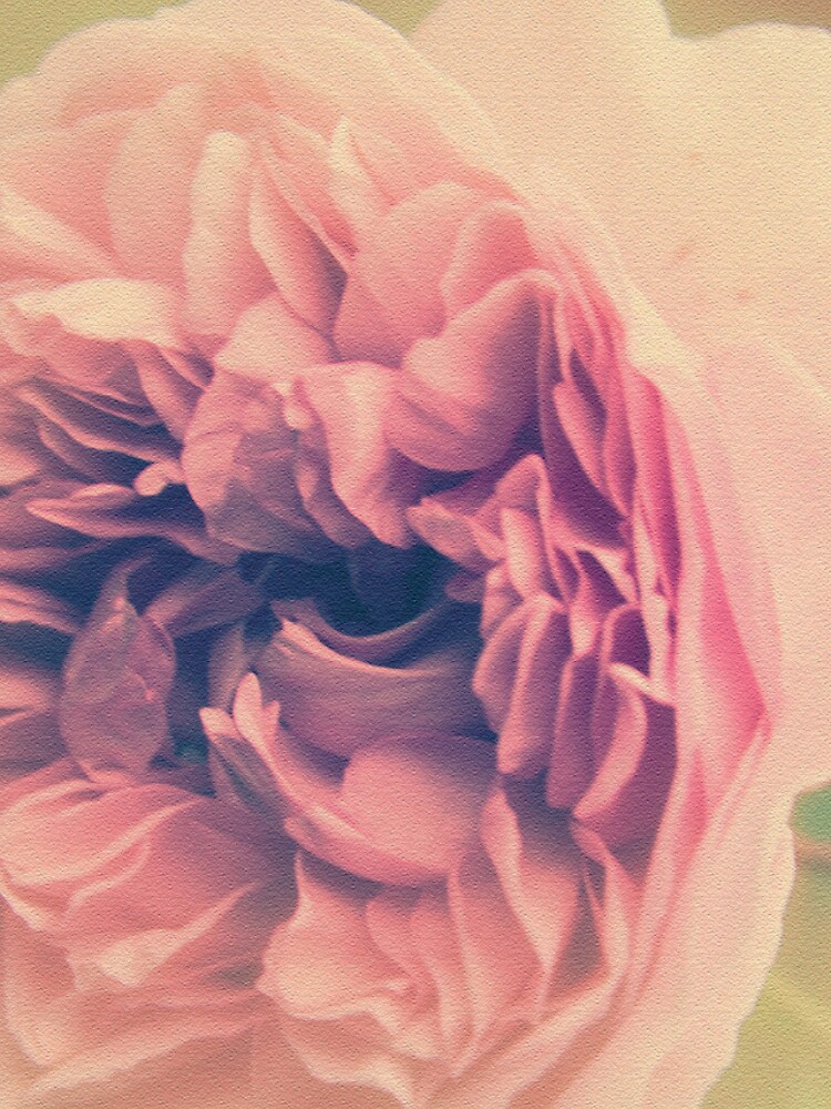 Thumbnail 4 of 4, iPhone Case, Vintage Roses designed and sold by Kacharava.
