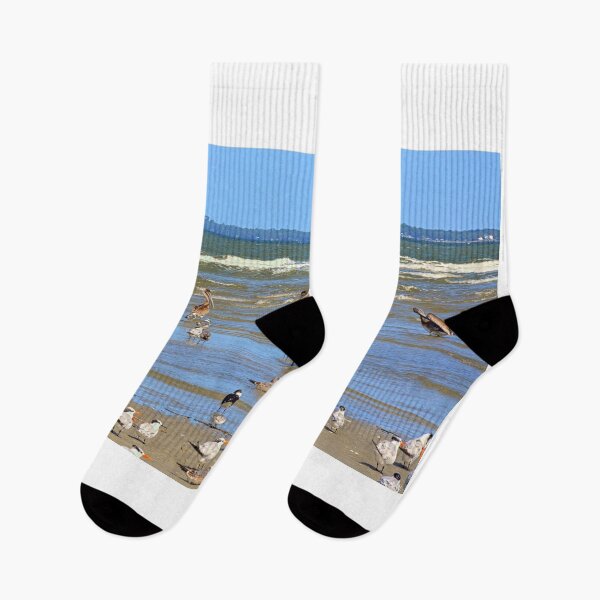 Item preview, Flock of Birds on Hilton Head Beach designed and sold by LisaWootenPhoto.