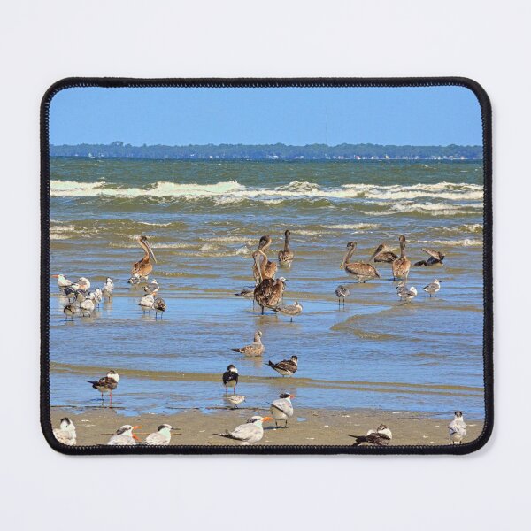 Item preview, Flock of Birds on Hilton Head Beach designed and sold by LisaWootenPhoto.