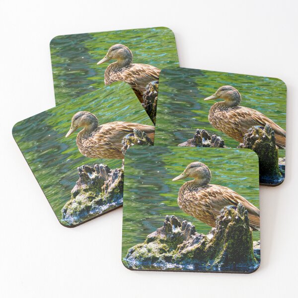 Item preview, Mallard Resting on Mossy Stump designed and sold by SClarkArtVT.