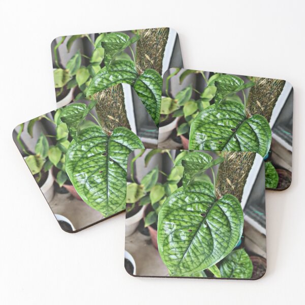 Item preview, The Heart of Nature designed and sold by Khaactorwriter.
