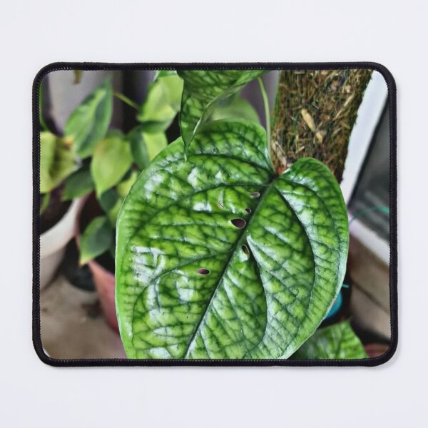Item preview, The Heart of Nature designed and sold by Khaactorwriter.