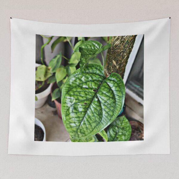 Item preview, The Heart of Nature designed and sold by Khaactorwriter.