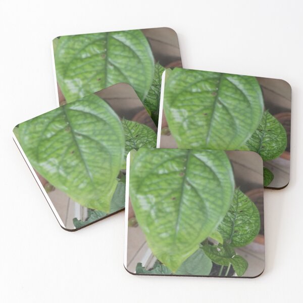 Item preview, Leafy Love Symphony designed and sold by Khaactorwriter.