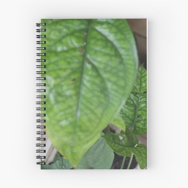 Item preview, Leafy Love Symphony designed and sold by Khaactorwriter.
