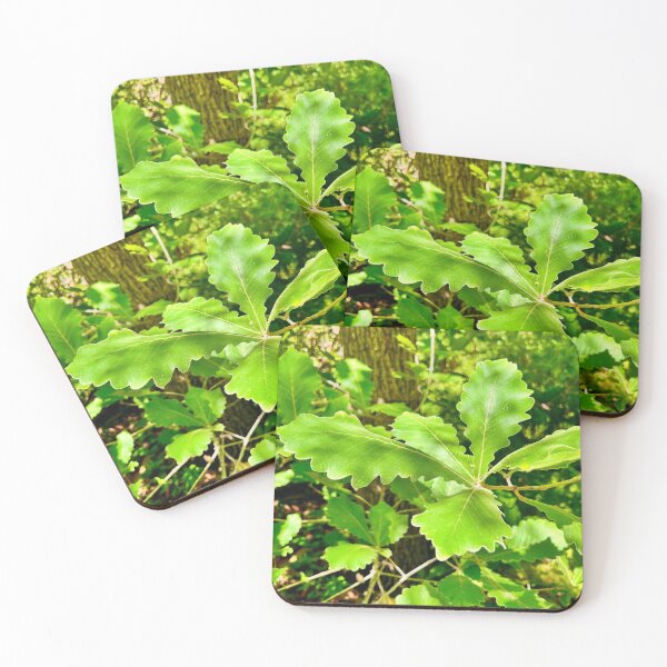 Item preview, Sweet Leaf Romance designed and sold by Khaactorwriter.
