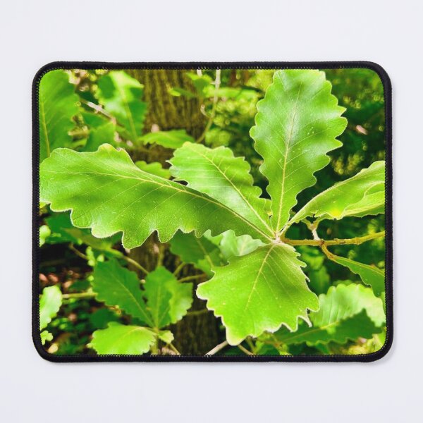 Item preview, Sweet Leaf Romance designed and sold by Khaactorwriter.