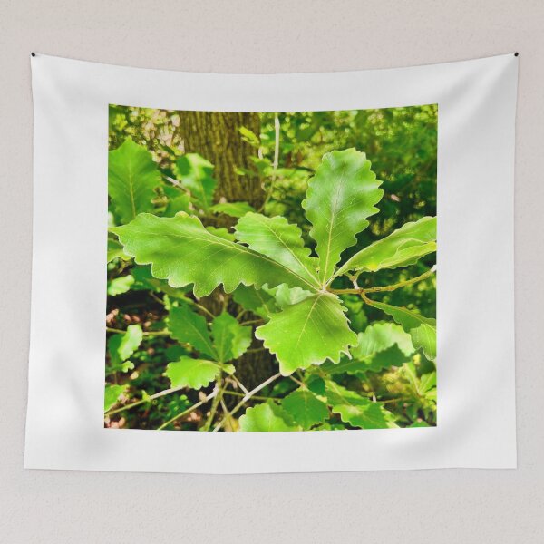 Item preview, Sweet Leaf Romance designed and sold by Khaactorwriter.