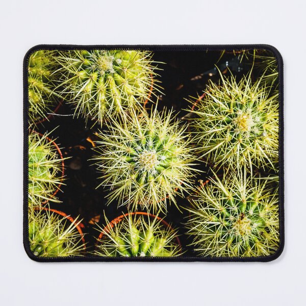 Item preview, Cacti All In A Row designed and sold by Douglas E. Welch Design and Photography.