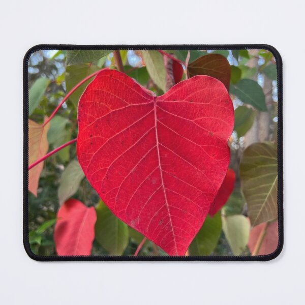 Item preview, Tender Leaf Love designed and sold by Khaactorwriter.
