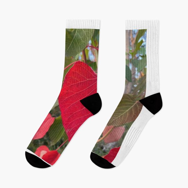 Item preview, Tender Leaf Love designed and sold by Khaactorwriter.