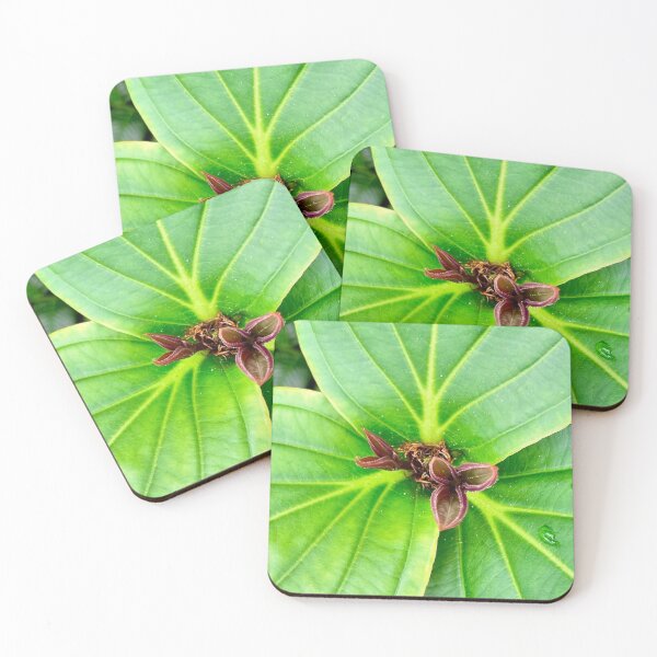 Item preview, Leaf Love Dream designed and sold by Khaactorwriter.
