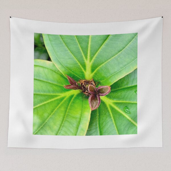 Item preview, Leaf Love Dream designed and sold by Khaactorwriter.