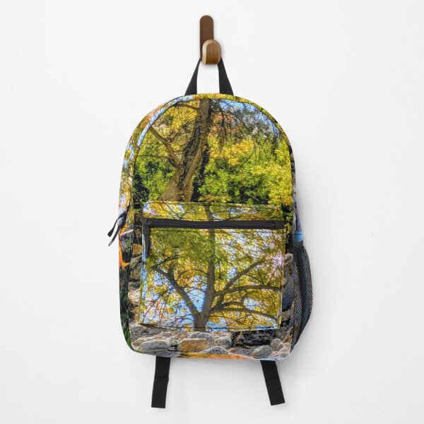 Item preview, Fall Time At Sabino Canyon designed and sold by simonjayphotos.