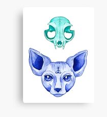 Kitteh Canvas Print