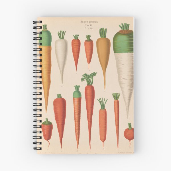 Aperçu de l'œuvre Graphique de la carotte créée et vendue par BlueSpecsStudio.
