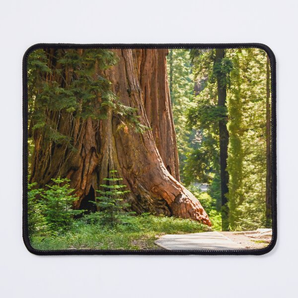 Item preview, Sequoia National Park, Travel Fine Art Photograph designed and sold by Craig Bernstein.