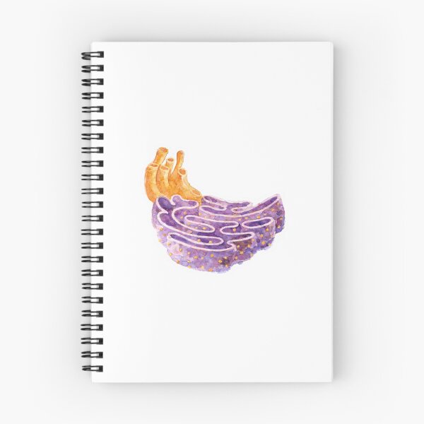 Item preview, Endoplasmic reticulum designed and sold by Ameus.