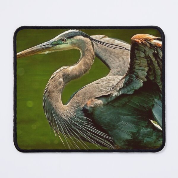 Item preview, Heron designed and sold by di-Vera-Rosati.