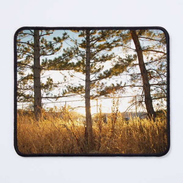 Item preview, Sunlit designed and sold by SemataryStills.