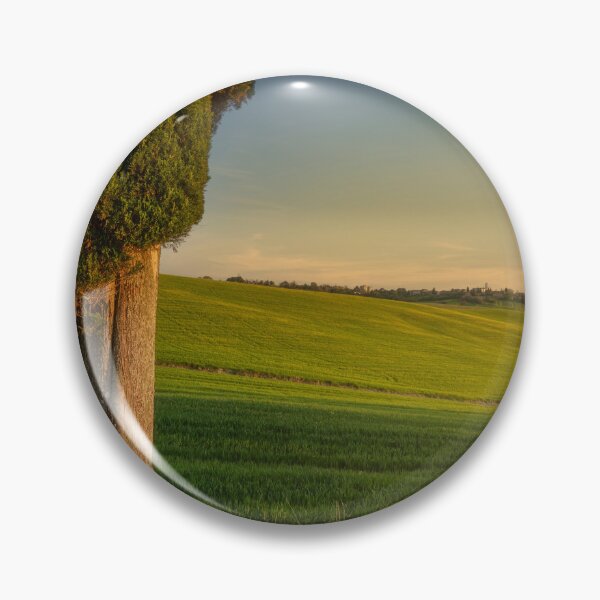 Item preview, Cypress tree in spring at sunset. Tuscany, Italy designed and sold by Stefano Orazzini.