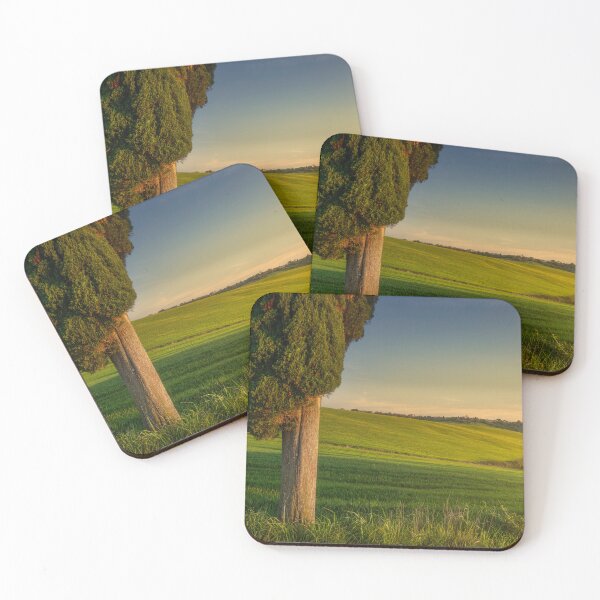 Item preview, Cypress tree in spring at sunset. Tuscany, Italy designed and sold by Stefano Orazzini.