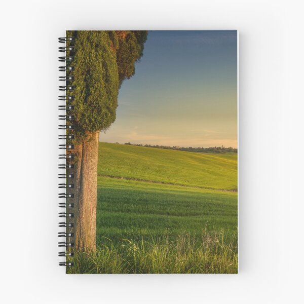 Item preview, Cypress tree in spring at sunset. Tuscany, Italy designed and sold by Stefano Orazzini.