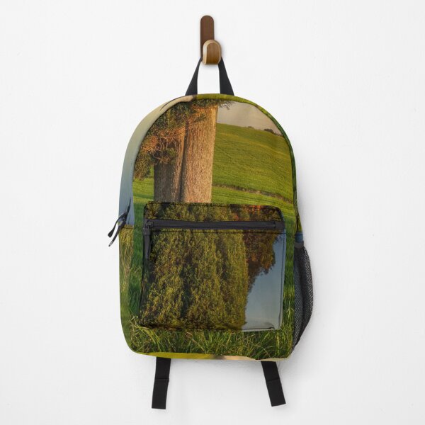Item preview, Cypress tree in spring at sunset. Tuscany, Italy designed and sold by Stefano Orazzini.