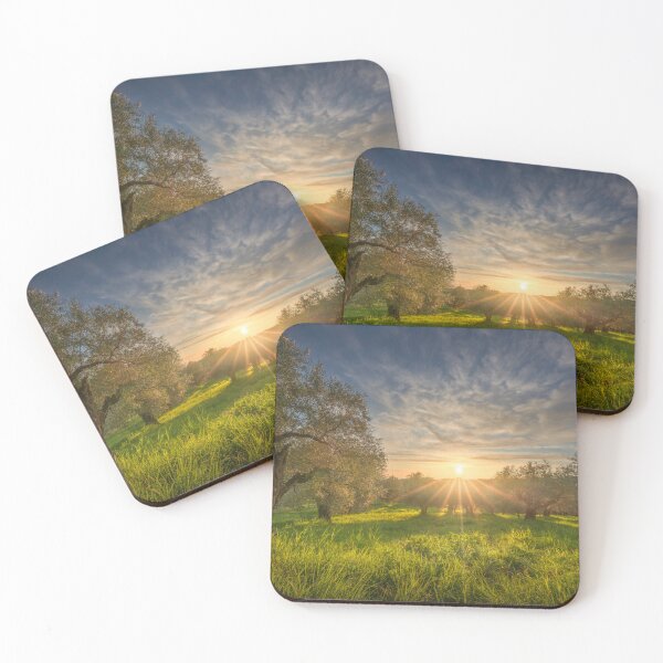 Item preview, Olive grove in Alta Maremma. Tuscany, Italy designed and sold by Stefano Orazzini.